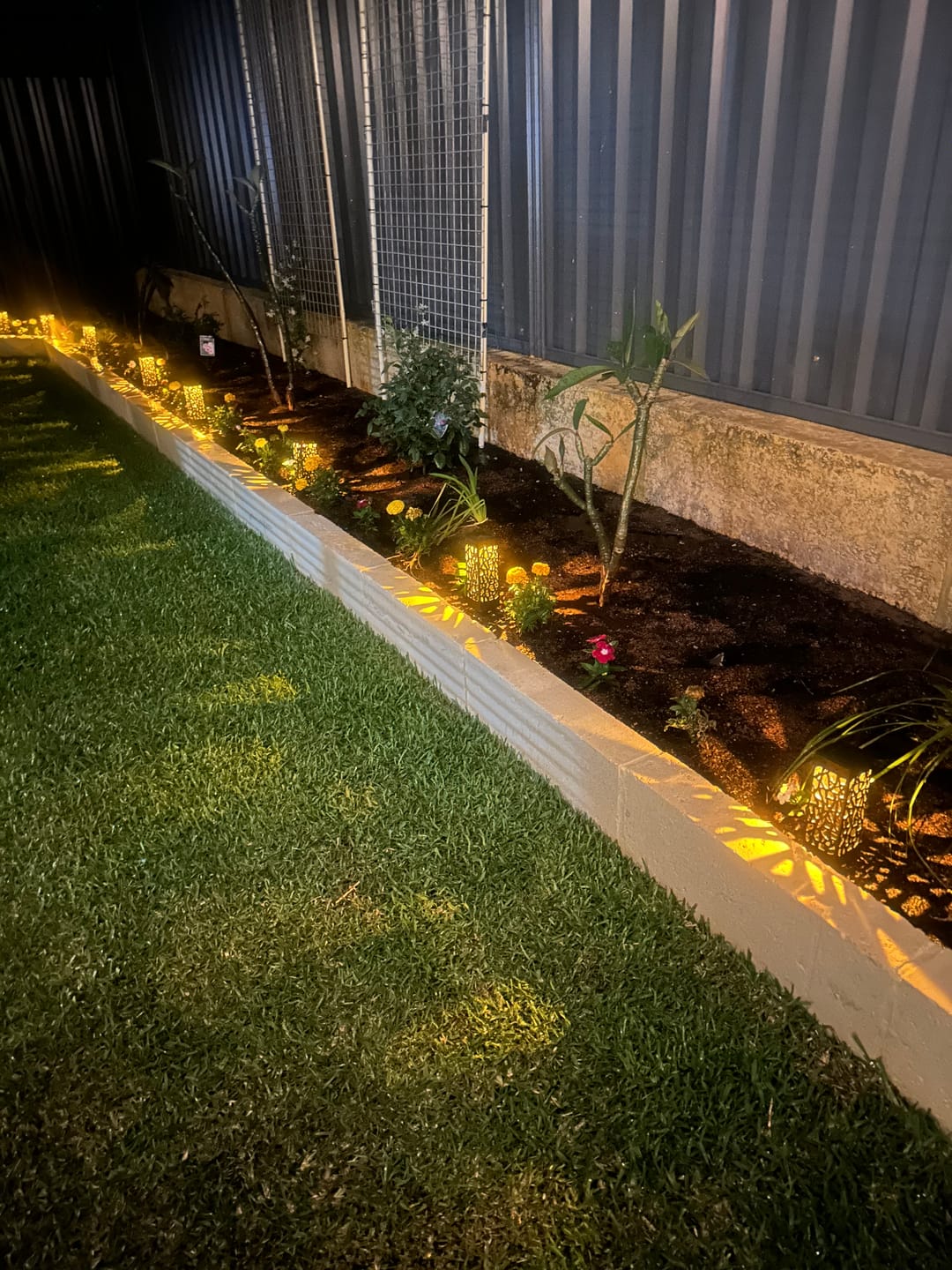 Customer photo review of SolaGarden™ Pattern Light Pack