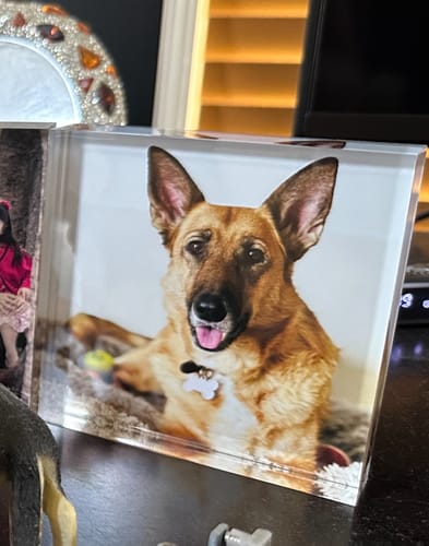 Customer photo review of 10 x 10 cm Free Standing Acrylic Photo Block