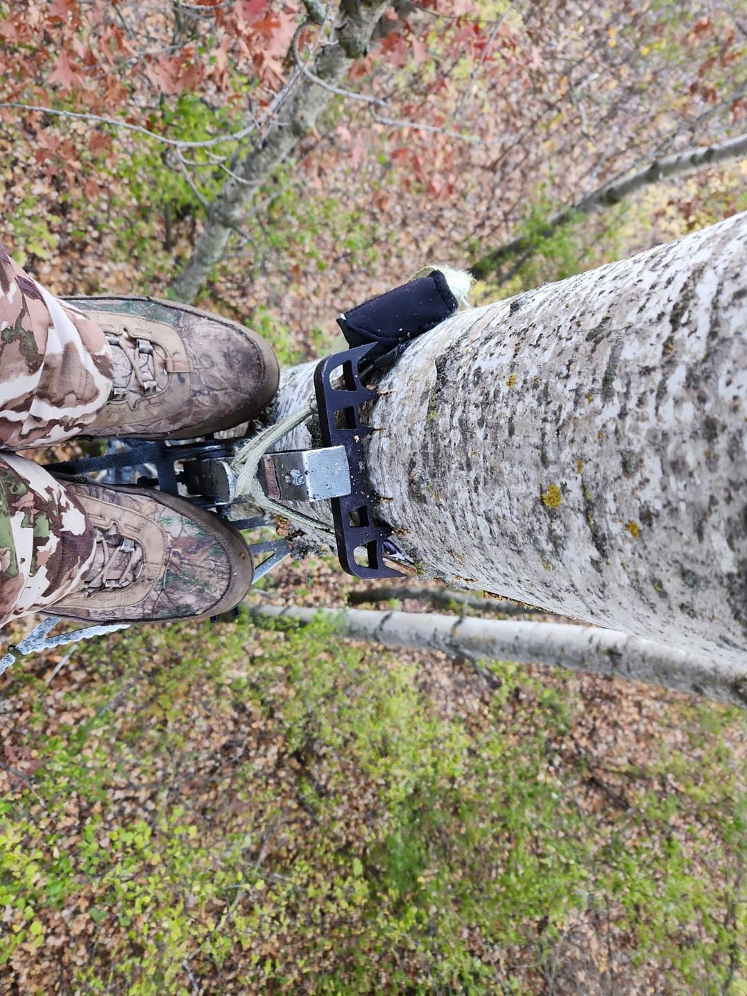 Customer photo review of BEAST GEAR HANG-ON ANTLER BRACKET