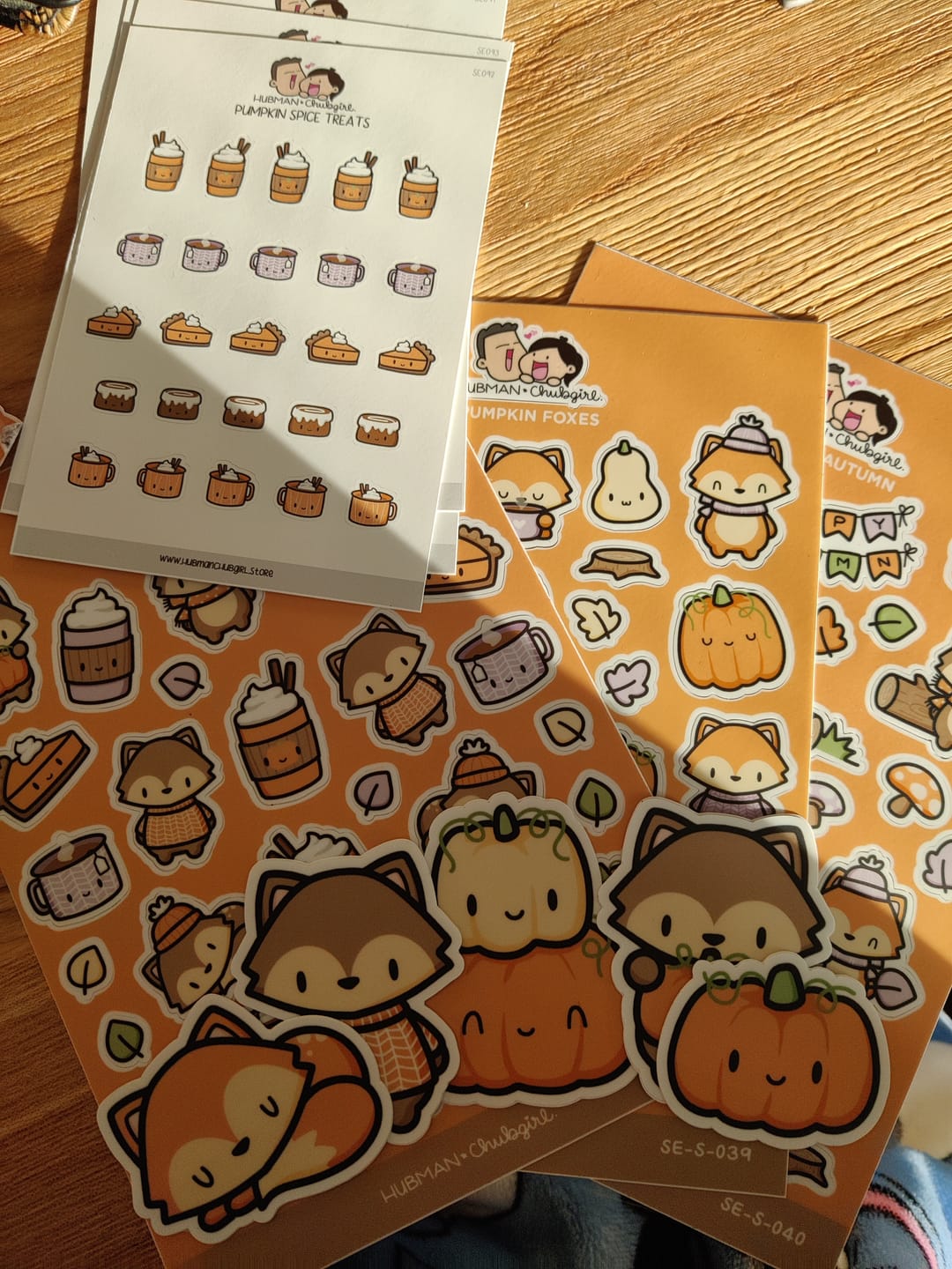 Customer photo review of Autumn Sticker Set