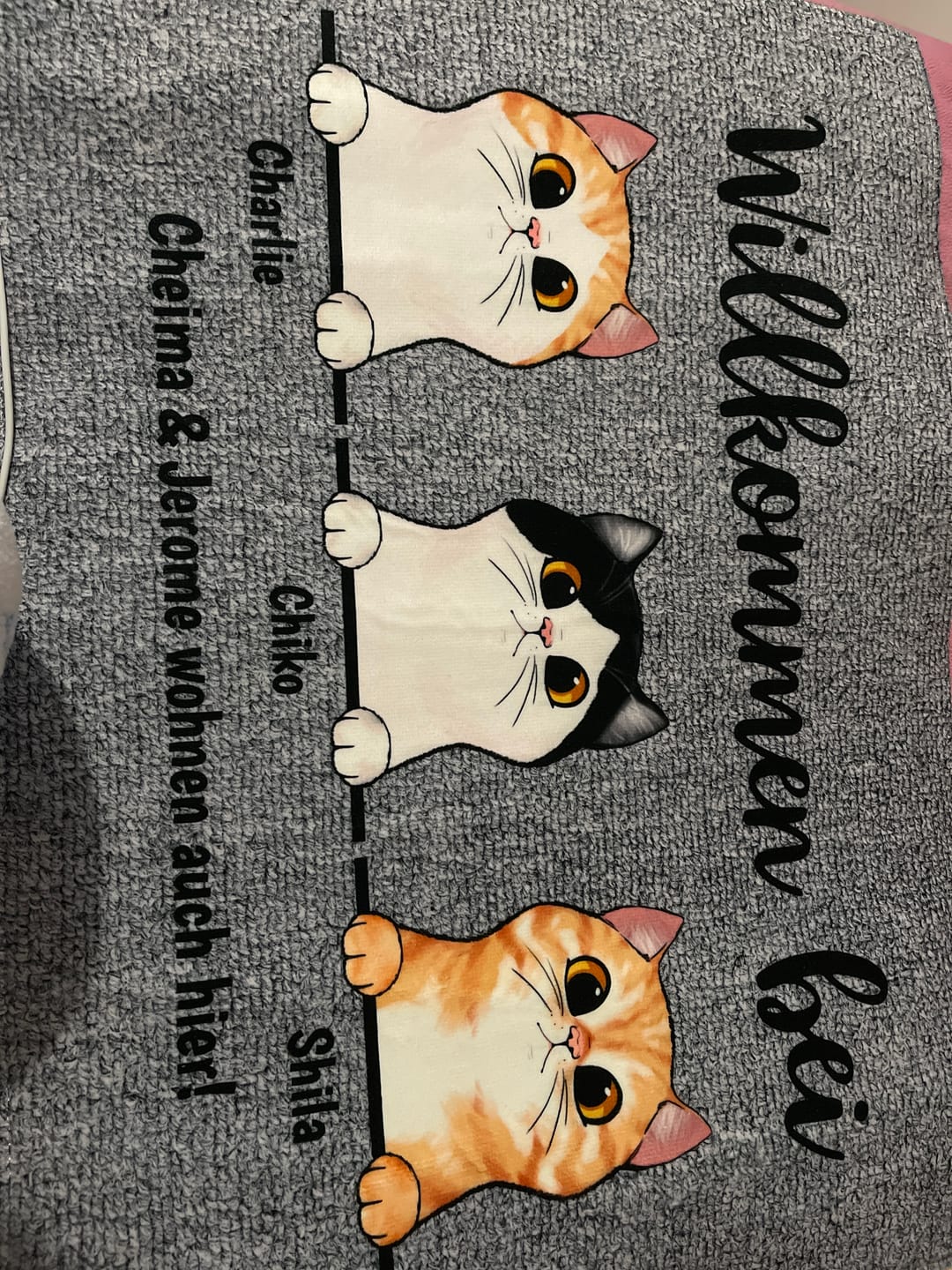 Customer photo review of Willkommen bei neugierigen Katzen - Individuelle Fußmatte