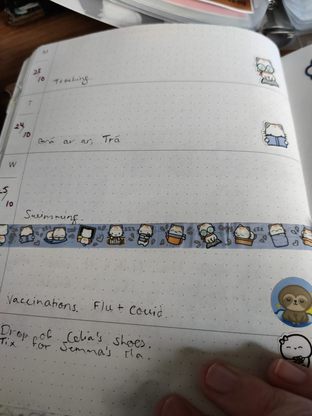 Customer photo review of Cozy Cat Washi Tape (Set of 2)