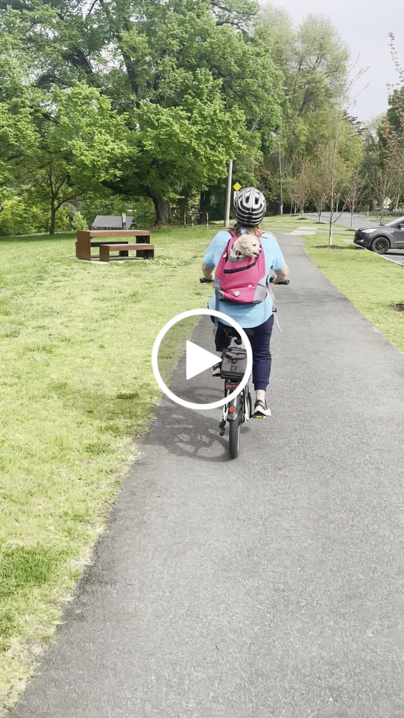 Customer video review of Dog Backpack