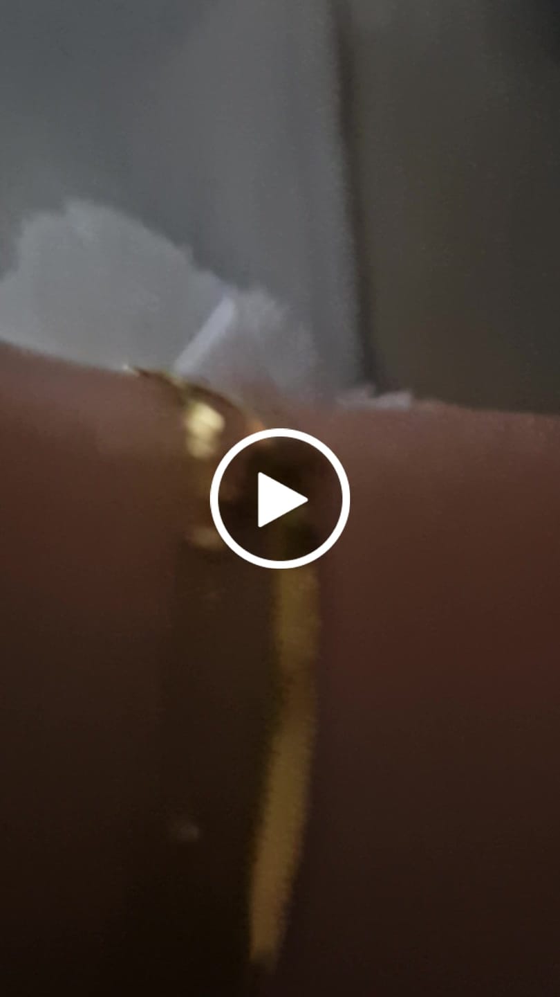 Customer video review of Collar Crossed