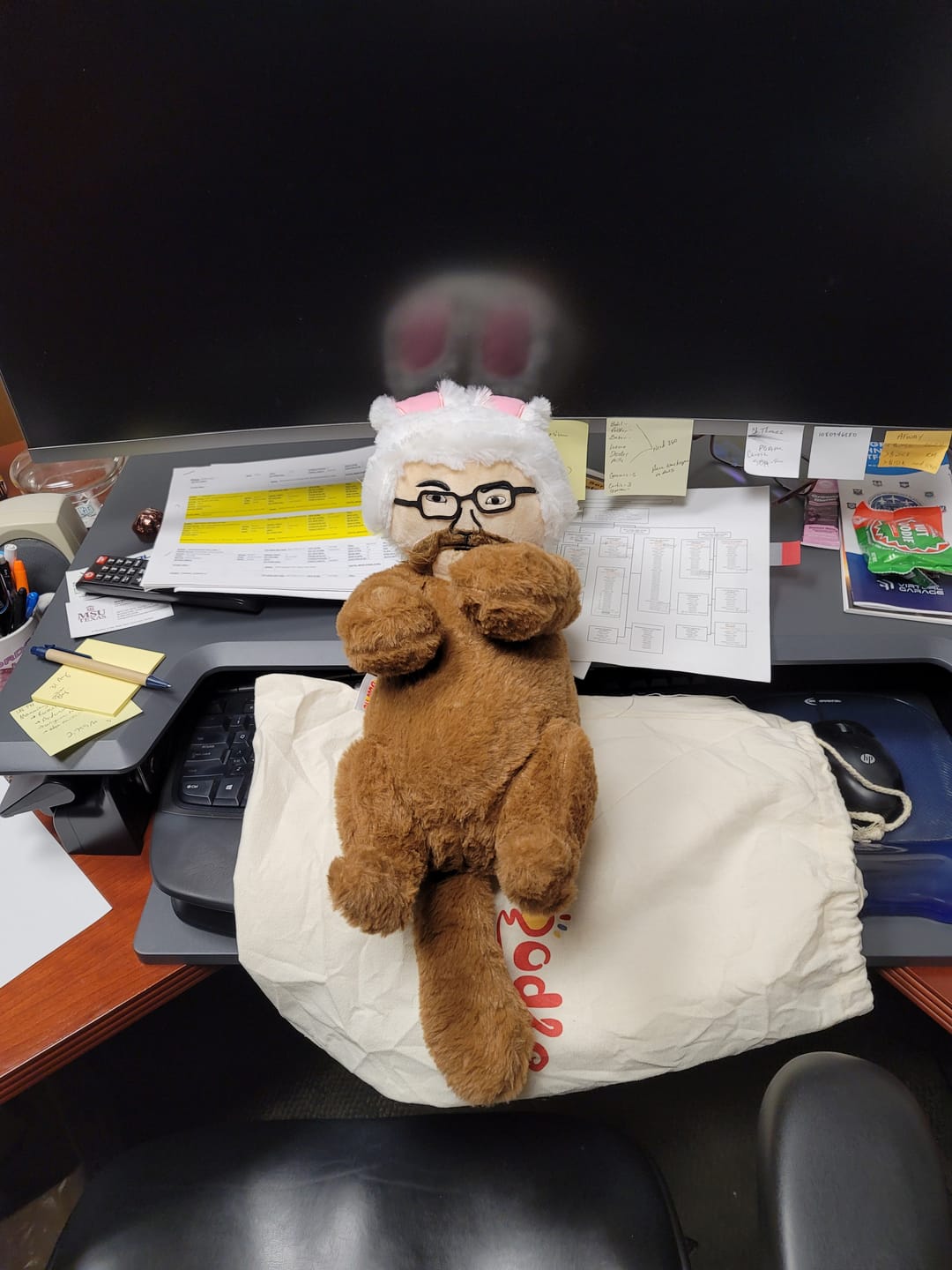 Customer photo review of Turn Selfie into Plush Dolls