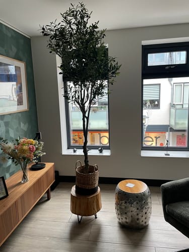Customer photo review of Kunst Olijfboom 210cm