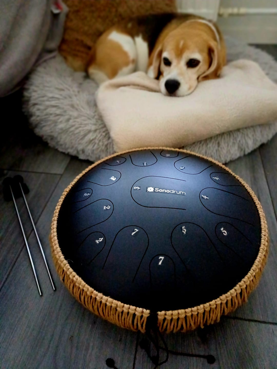 Customer photo review of Sonodrum Zungentrommel - "Premium" - Handgefertigt - 35,5cm - 15 Zungen - C-Dur
