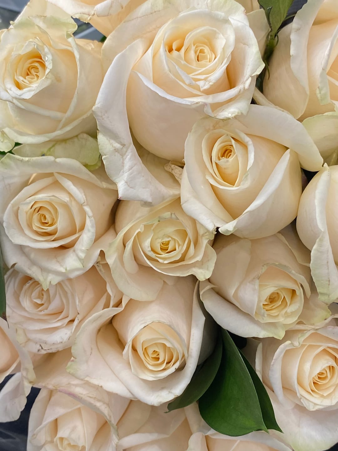 Customer photo review of Eternal Rose Gift Box