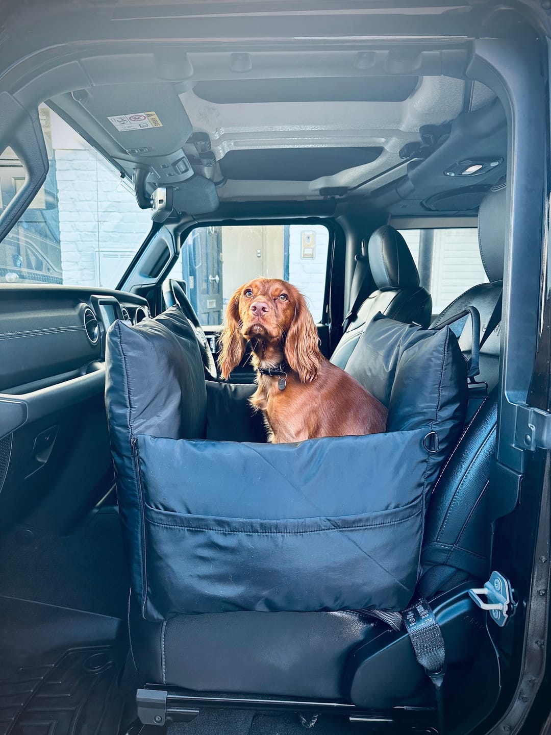 Customer photo review of Replacement Isofix Skin - Travel Dog Pod 2.0