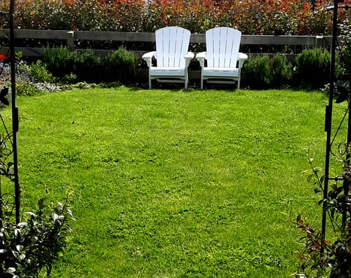 Customer photo review of Alpine Adirondack Chair