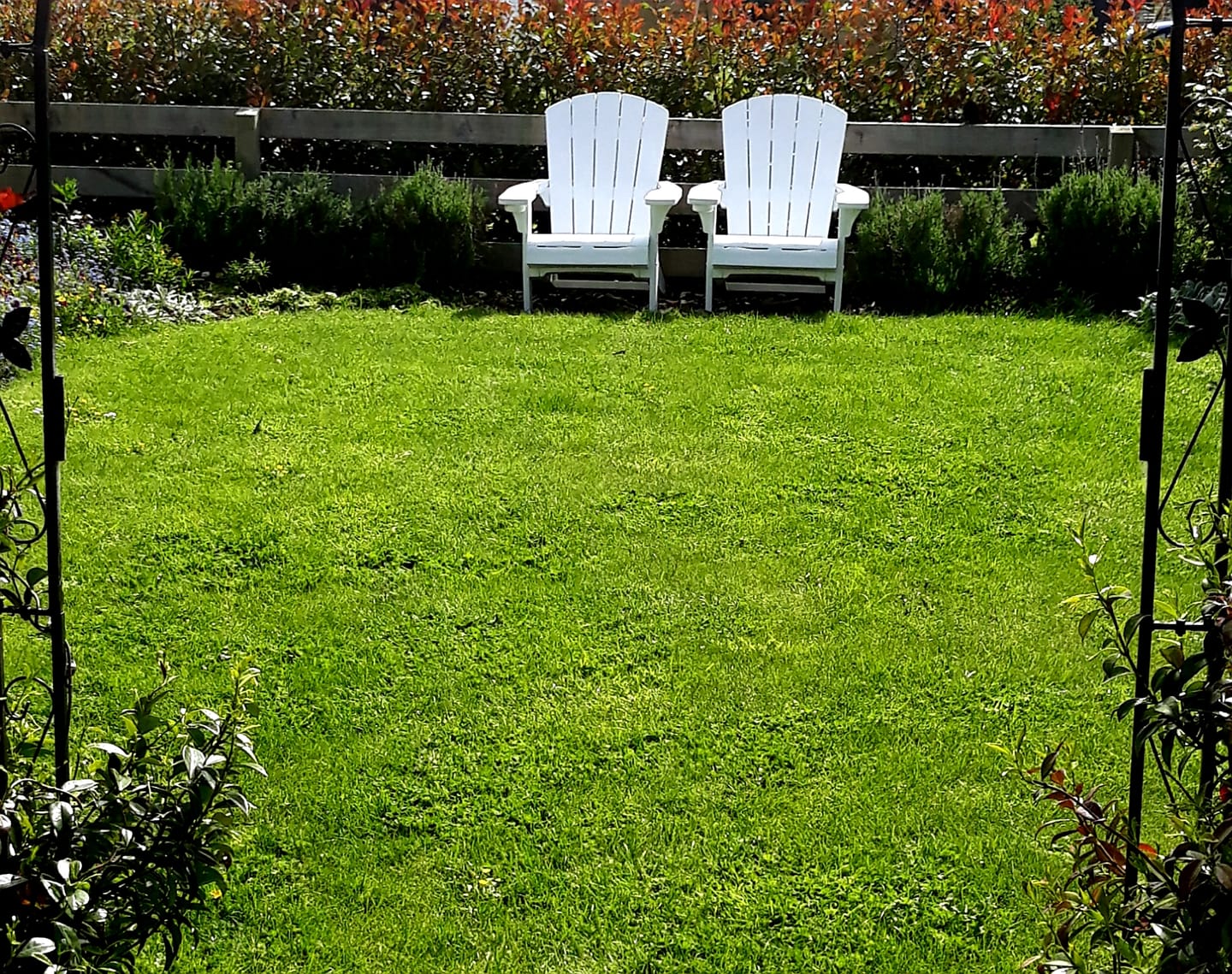 Customer photo review of Alpine Adirondack Chair
