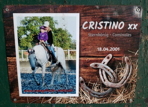Customer photo review of Pferde Boxenschild mit Foto & Wunschtext