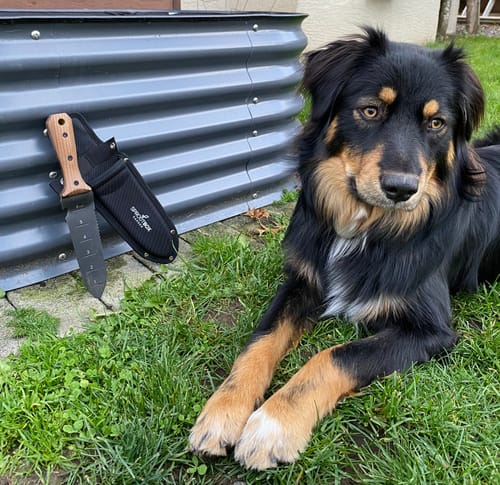 Customer photo review of Hori Hori Garden Knife