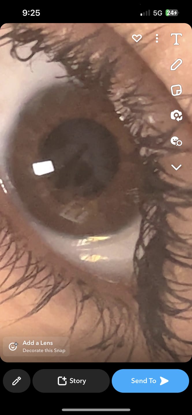 Customer photo review of Eyeling Light Brown