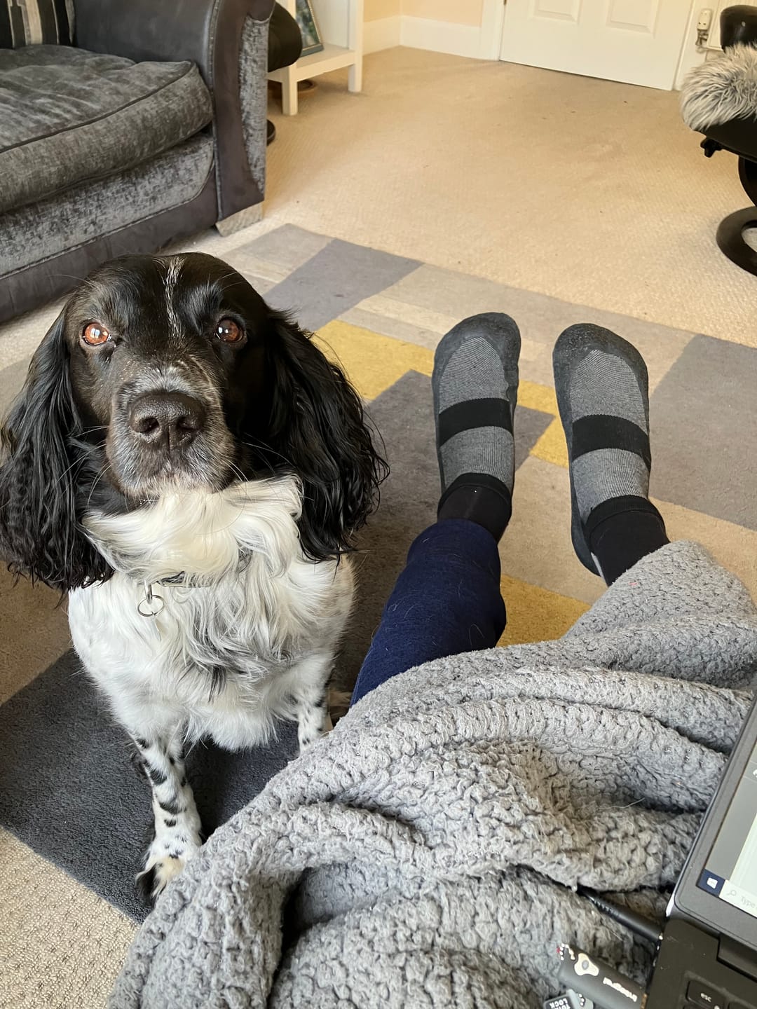 Customer photo review of Baresocks 2.0