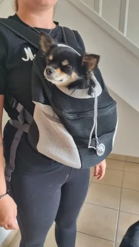 Customer photo review of Emmalove - Hunde-Rucksack