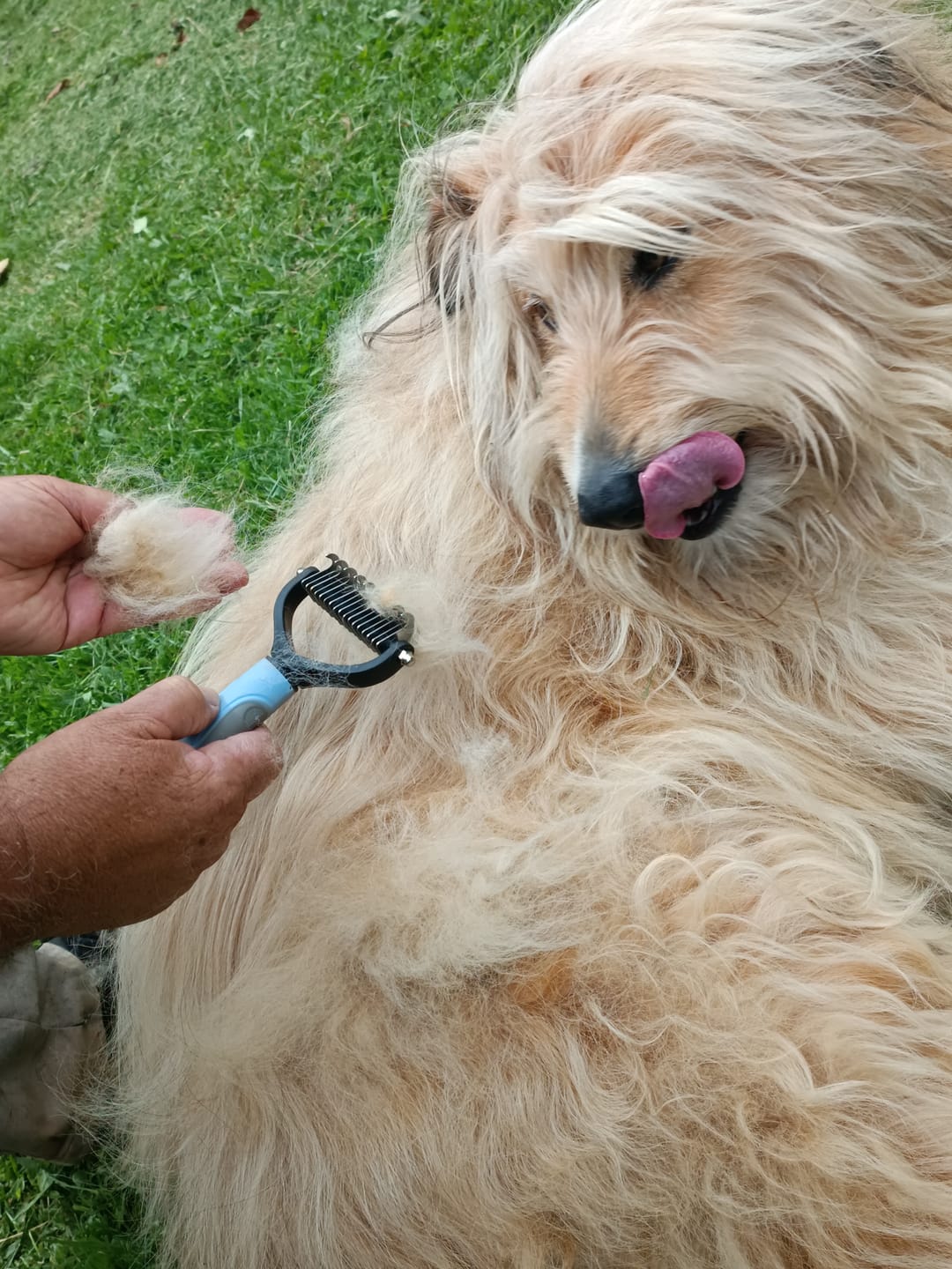 Customer photo review of Cepillo Cortador de Nudos de Pelo para Mascotas Milgenial