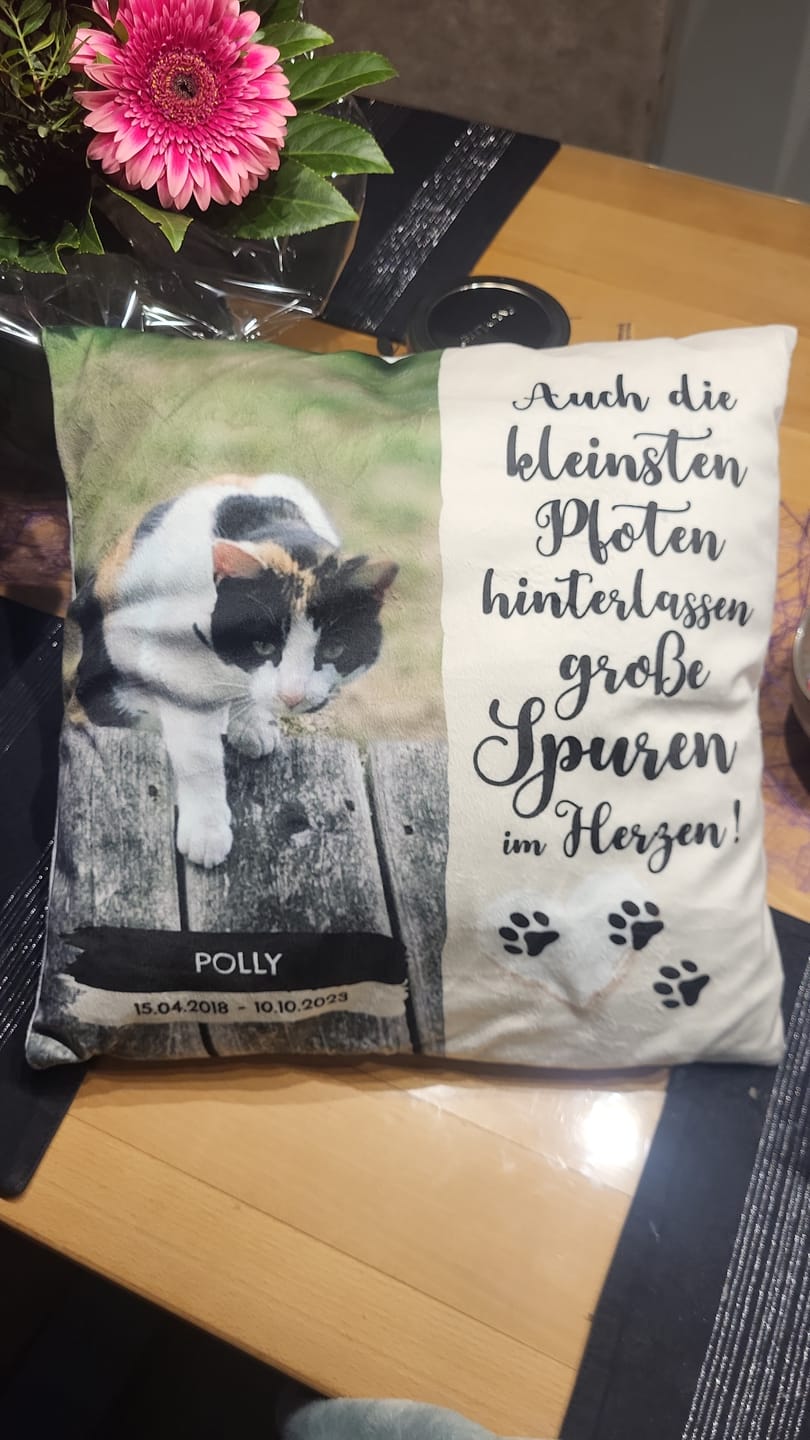Customer photo review of Die kleinsten Pfoten - Individuelles Kissen