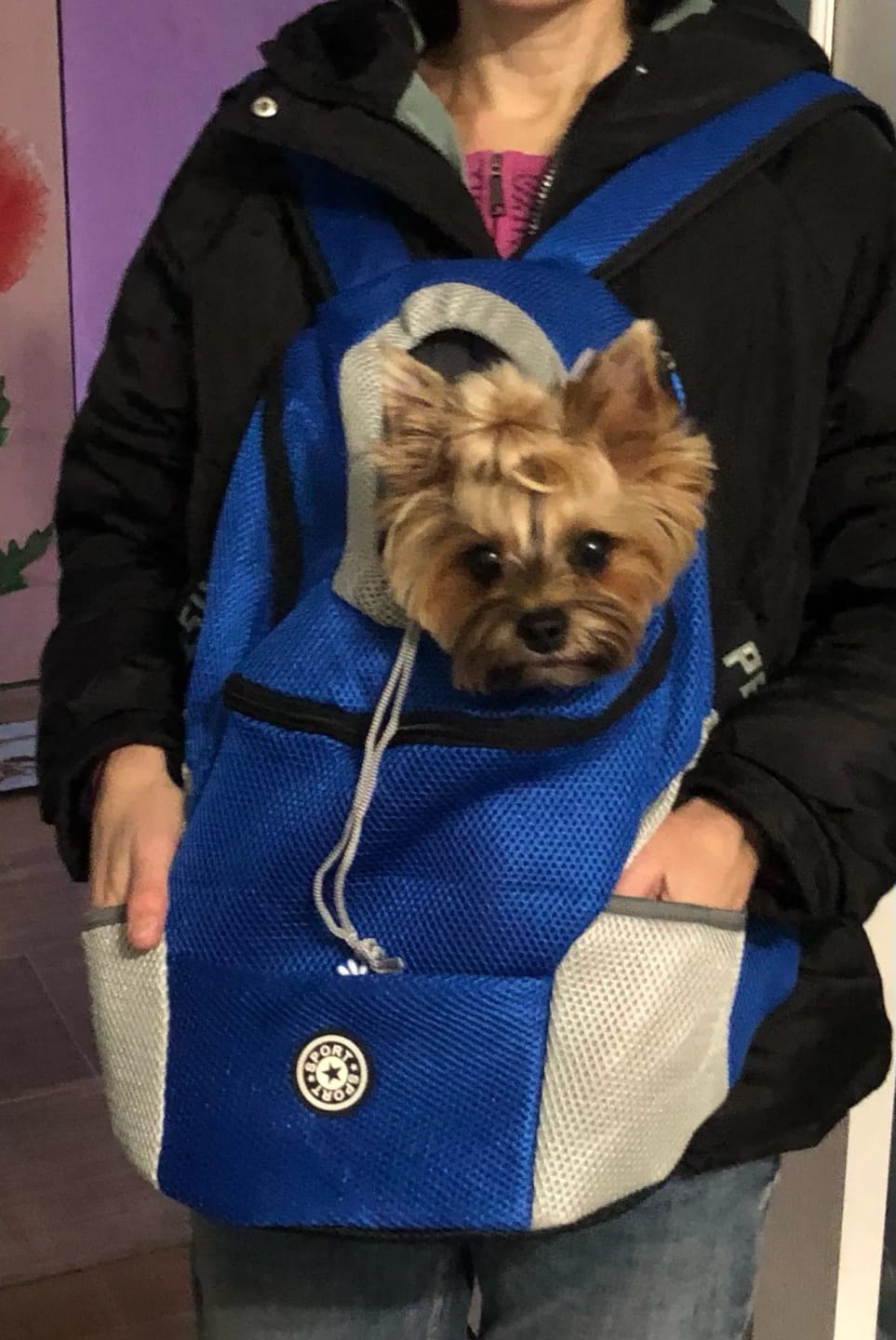 Customer photo review of Emmalove - Hunde-Rucksack