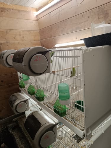 Customer photo review of Tauron Nest - Moldes Ave