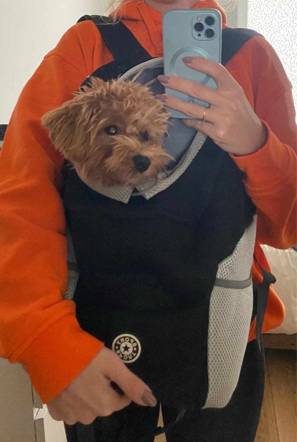 Customer photo review of Emmalove - Hunde-Rucksack