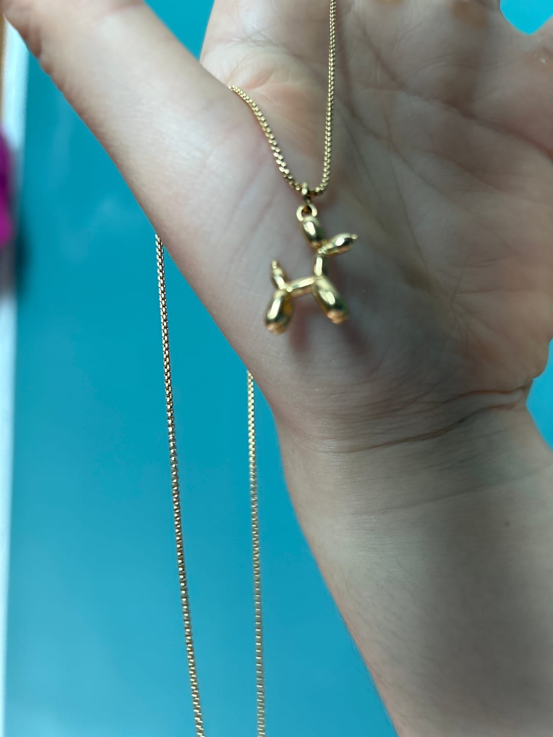 Customer photo review of Collar Doggy