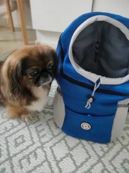 Customer photo review of Emmalove - Hunde-Rucksack