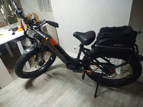Customer photo review of Lankeleisi MG600 Plus 1000W Bafang Motor 26" Fat Bike All Terrain Electric Bike 48V 20Ah Samsung Battery