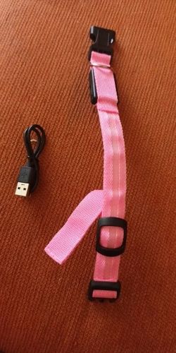 Customer photo review of SafetyGlow - Leuchthalsband