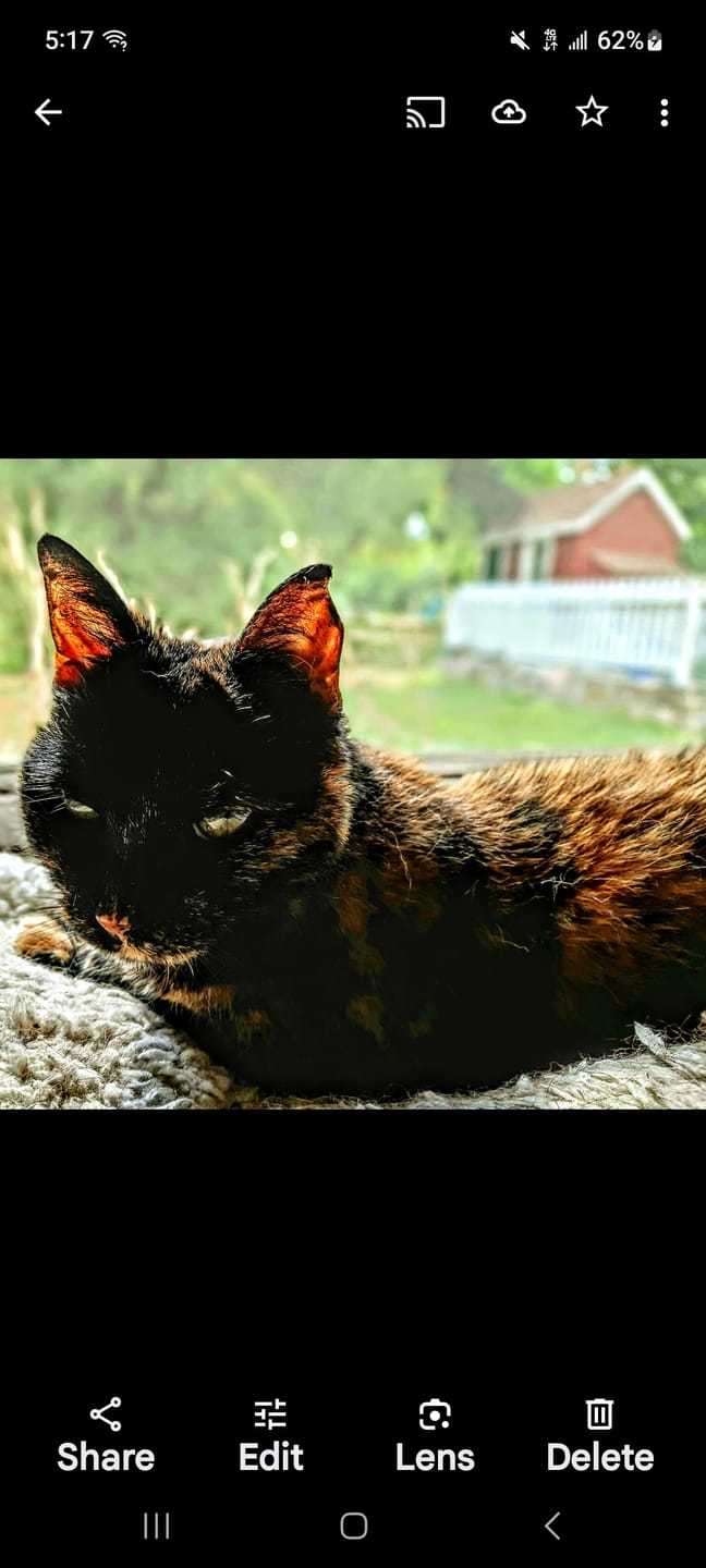 Customer photo review of Hyperthyroidism Supplement for Cats - Treats Cat Hyperthyroid, Patchy Hair Loss, and Helps Cat Weight Gain
