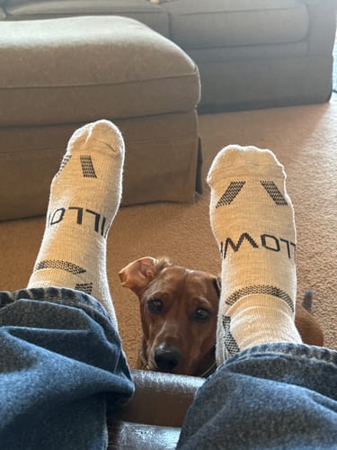 Customer photo review of The Alpaca Socks