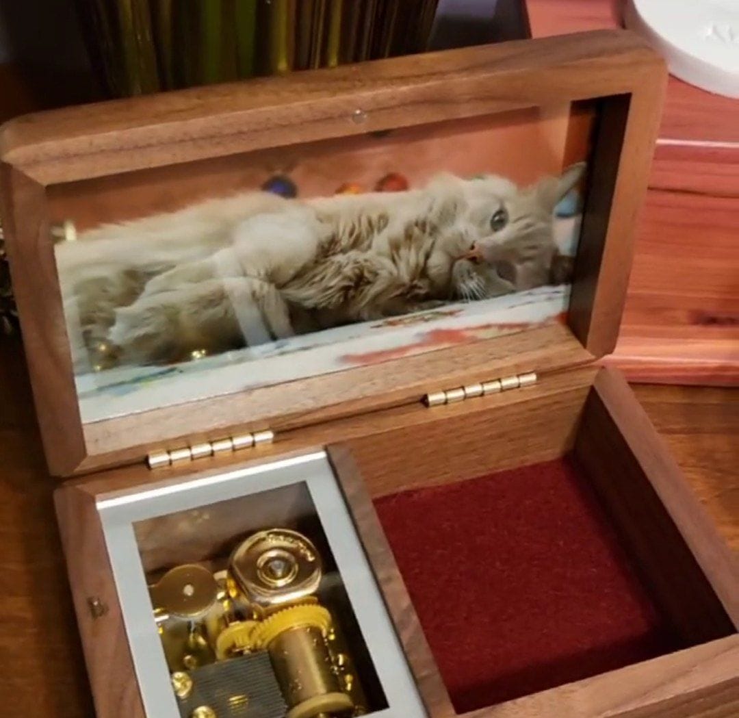 Customer photo review of Klara - Jewelry Music Box