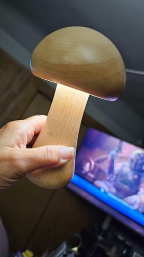 Customer photo review of Wooden Mushroom Lamps
