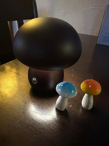 Customer photo review of Wooden Mushroom Lamps