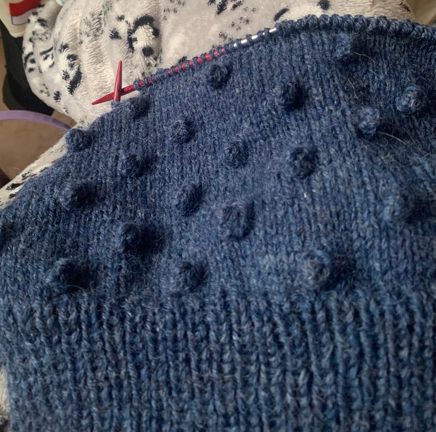 Customer photo review of Highland Wool  (100% Lana)