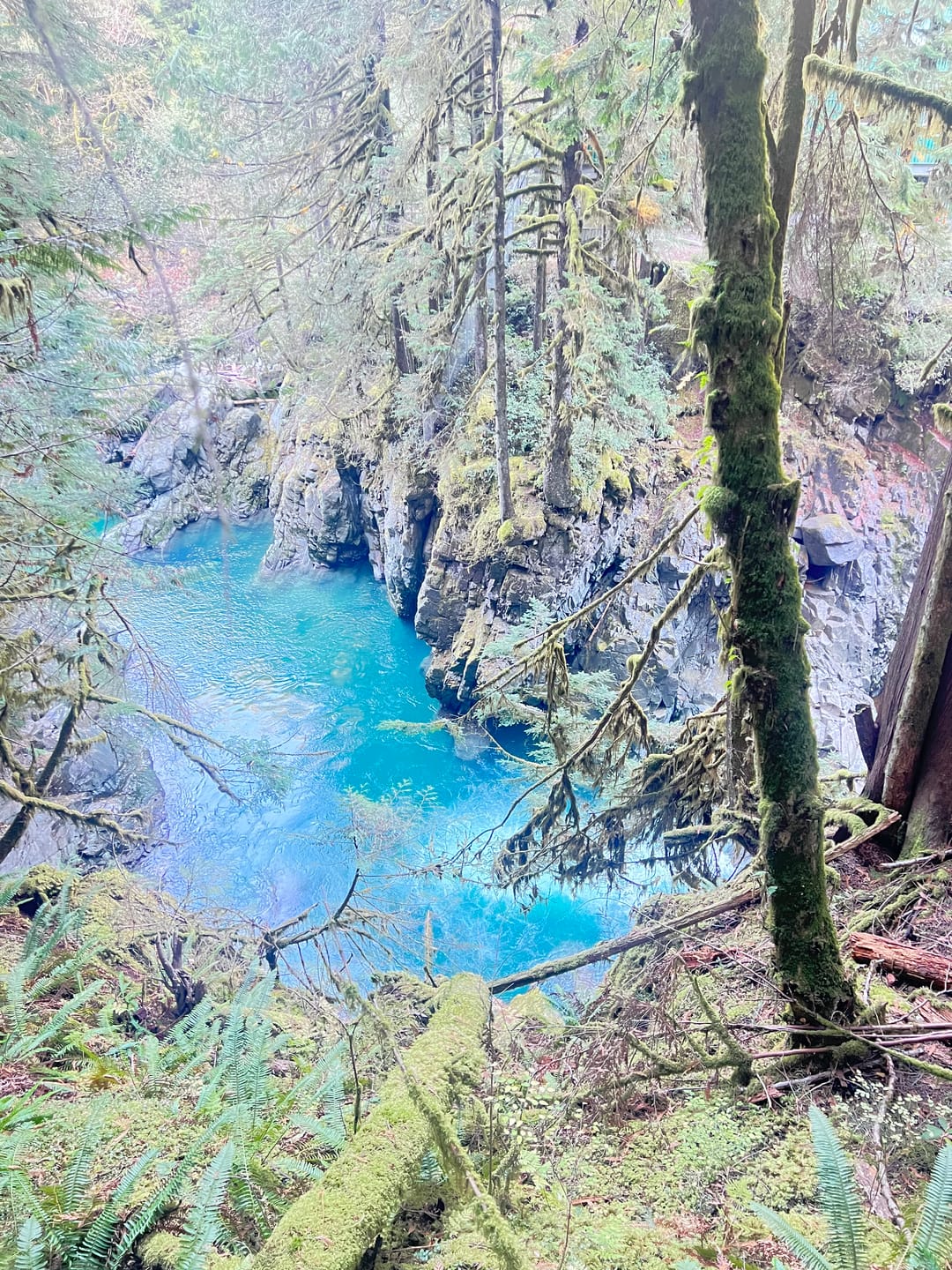Customer photo review of PRIMAL ® Sub Zero - Whiteout contact lenses