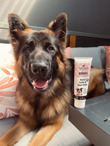 Customer photo review of DoggieBalm Manuka