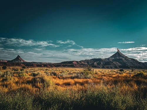 Customer photo review of Ultimate Preset Bundle