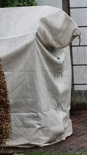 Customer photo review of Winterschutz für Kübelpflanzen "Jumbo" H 200 x B 240 cm