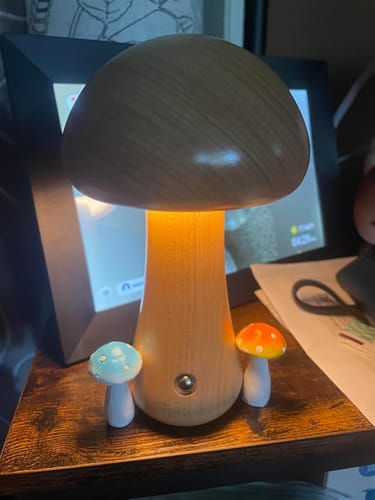 Customer photo review of Wooden Mushroom Lamps