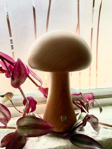 Customer photo review of Wooden Mushroom Lamps