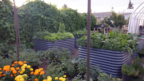 Customer photo review of 32" Tall Modular 9 in 1