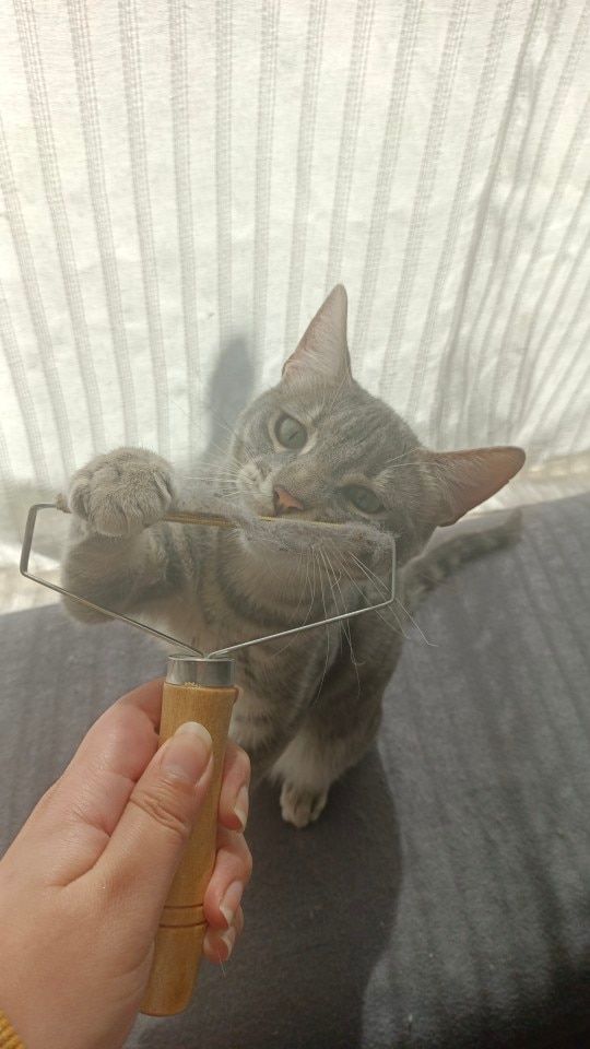 Customer photo review of Magic Lint Remover