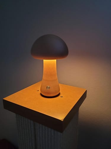 Customer photo review of Wooden Mushroom Lamps