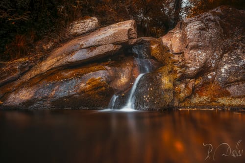 Customer photo review of Ultimate Preset Bundle
