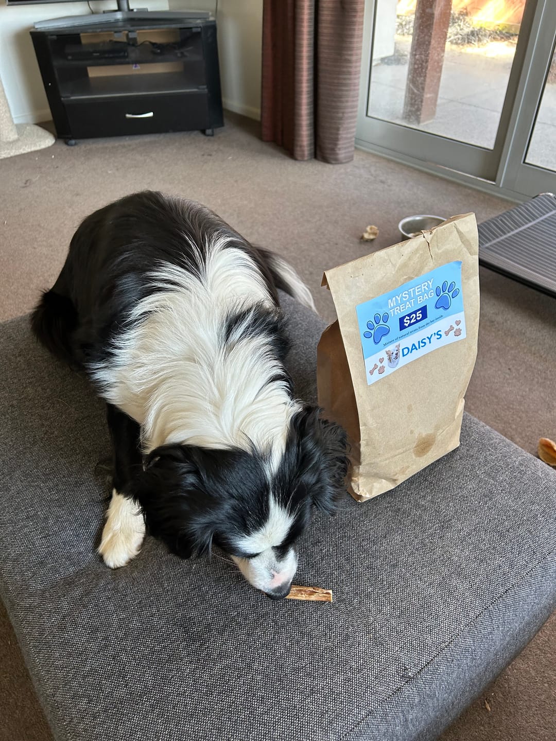 Customer photo review of Mystery Treat Bags