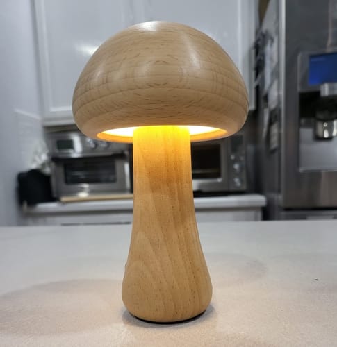 Customer photo review of Wooden Mushroom Lamps