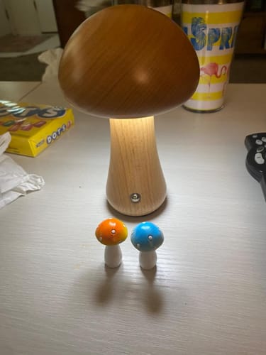 Customer photo review of Wooden Mushroom Lamps