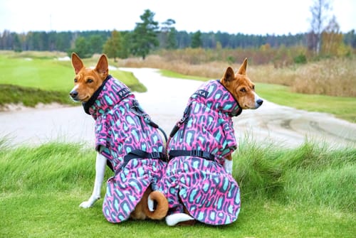 Customer photo review of Visibility Winter Jacket Jungle for Dogs
