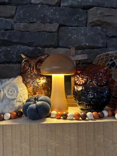 Customer photo review of Wooden Mushroom Lamps